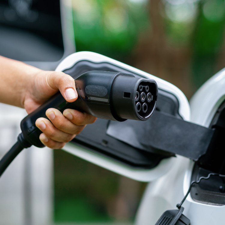 Electrical Services in Williamson and Travis County TX Electrical Services in Williamson and Travis County TX